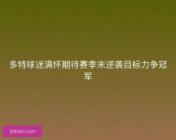 多特球迷满怀期待赛季末逆袭目标力争冠军